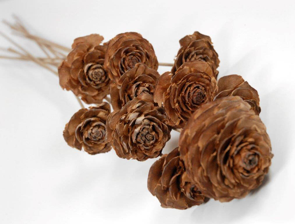 10 Cedar Wood Roses Floral Picks 16"