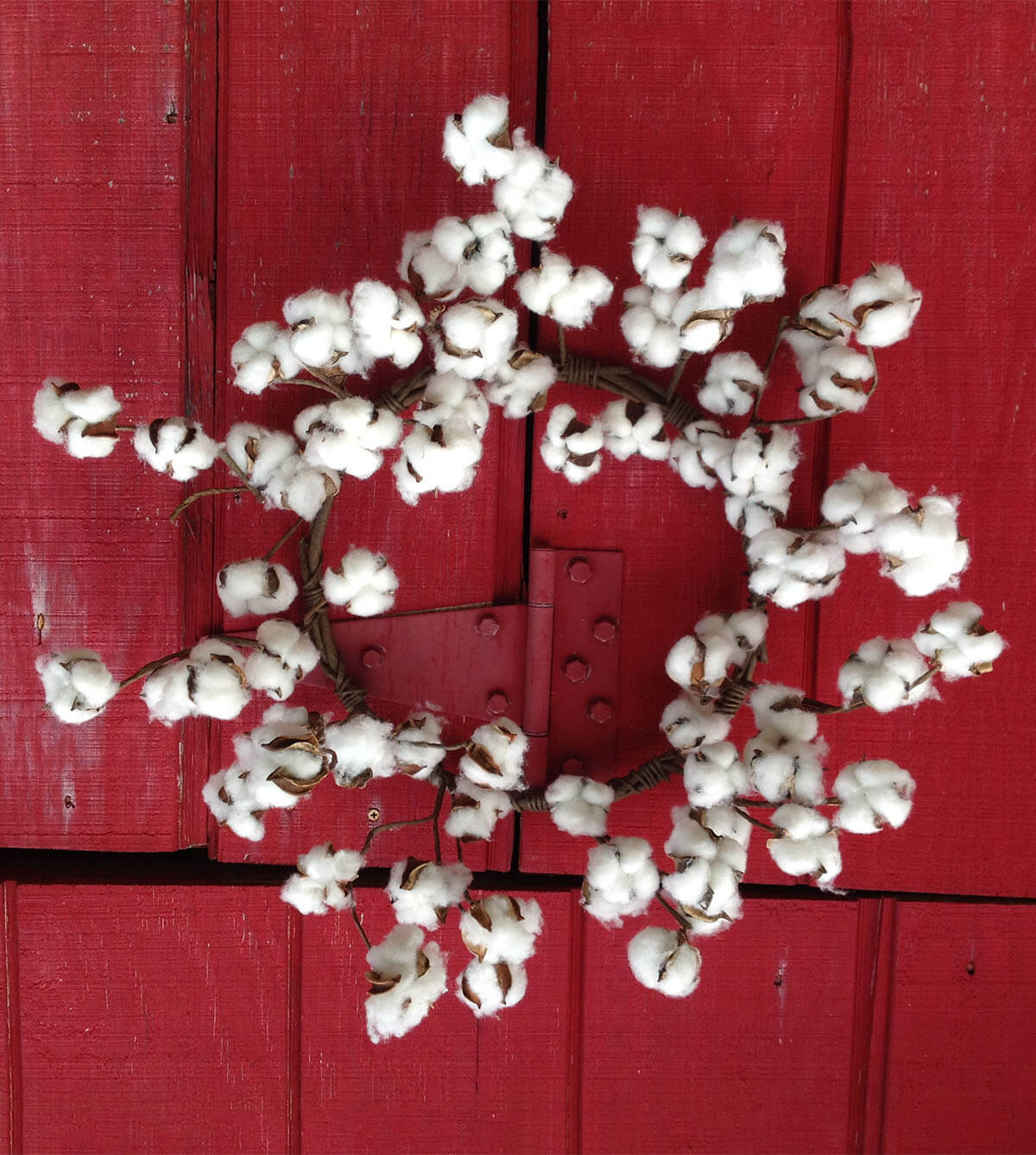 Natural Cotton Boll Wreath 22