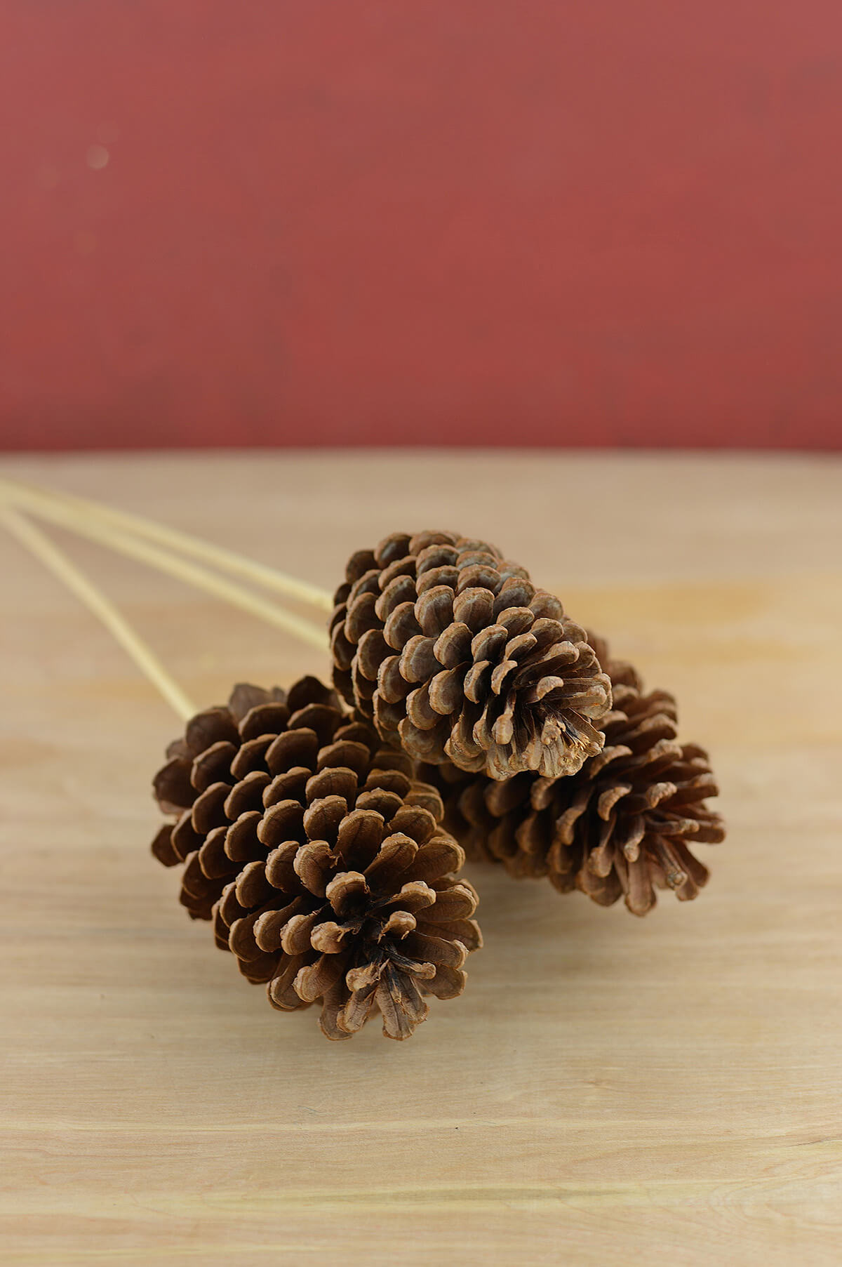 pine cone picks