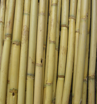 Bamboo Poles 12 Pack 24in Natural