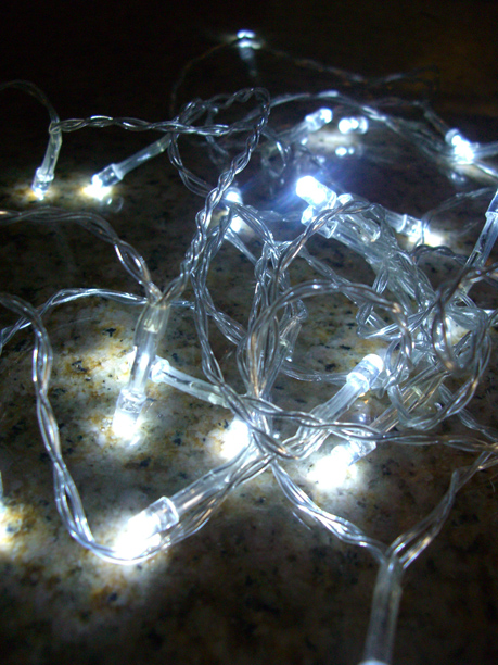 Clear Wire Battery Operated LED Lights10.5 Feet 24 Lights