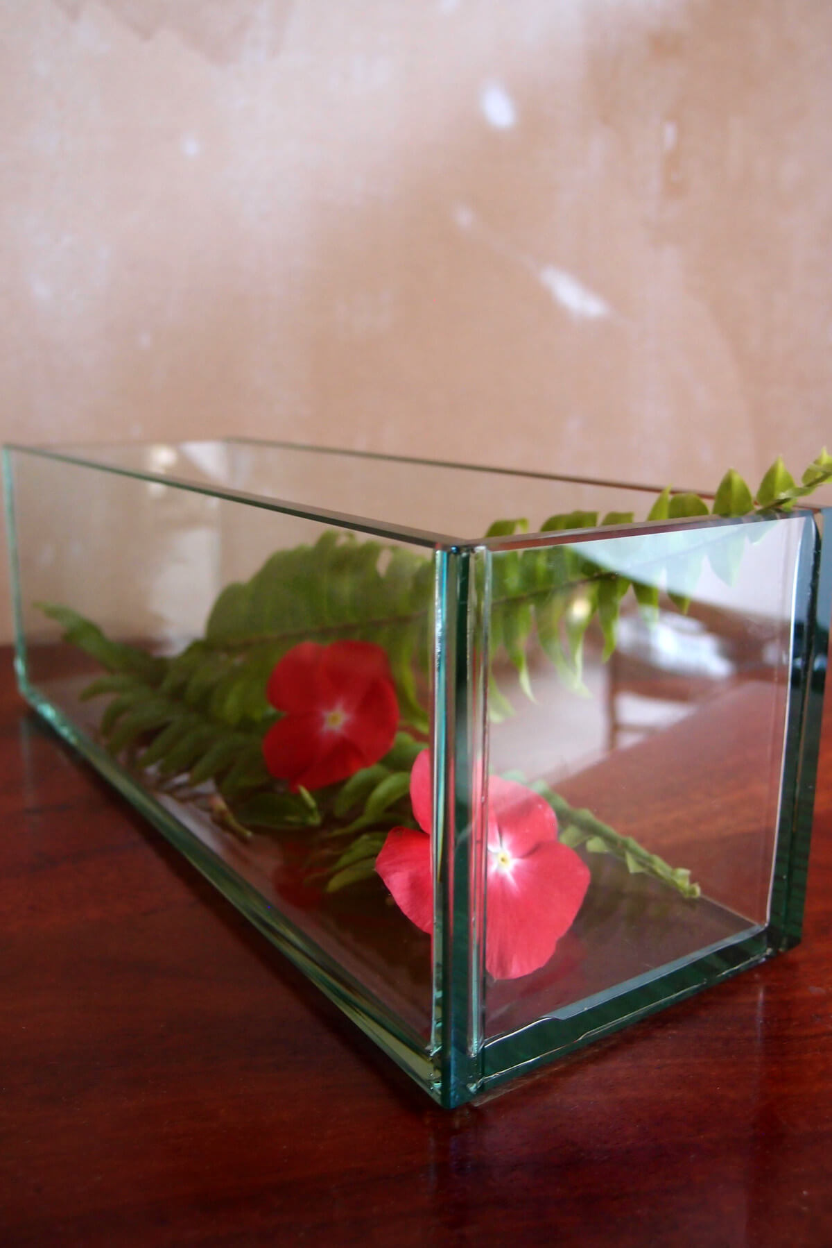 Thick Glass Plate Planter 4x12