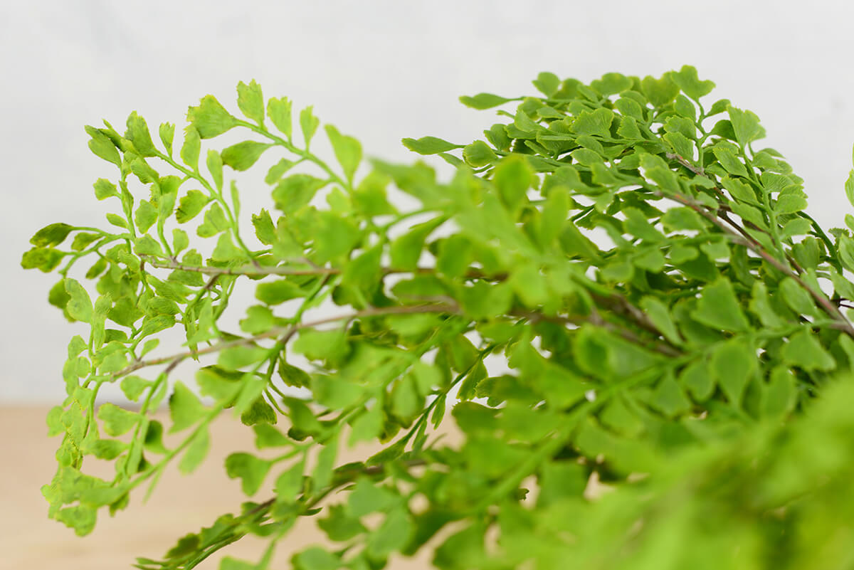 Artificial Maidenhair Fern Bush 18