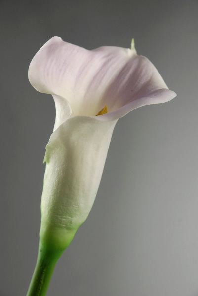 Real Touch Calla Lily Lilac & Cream 28" Tall