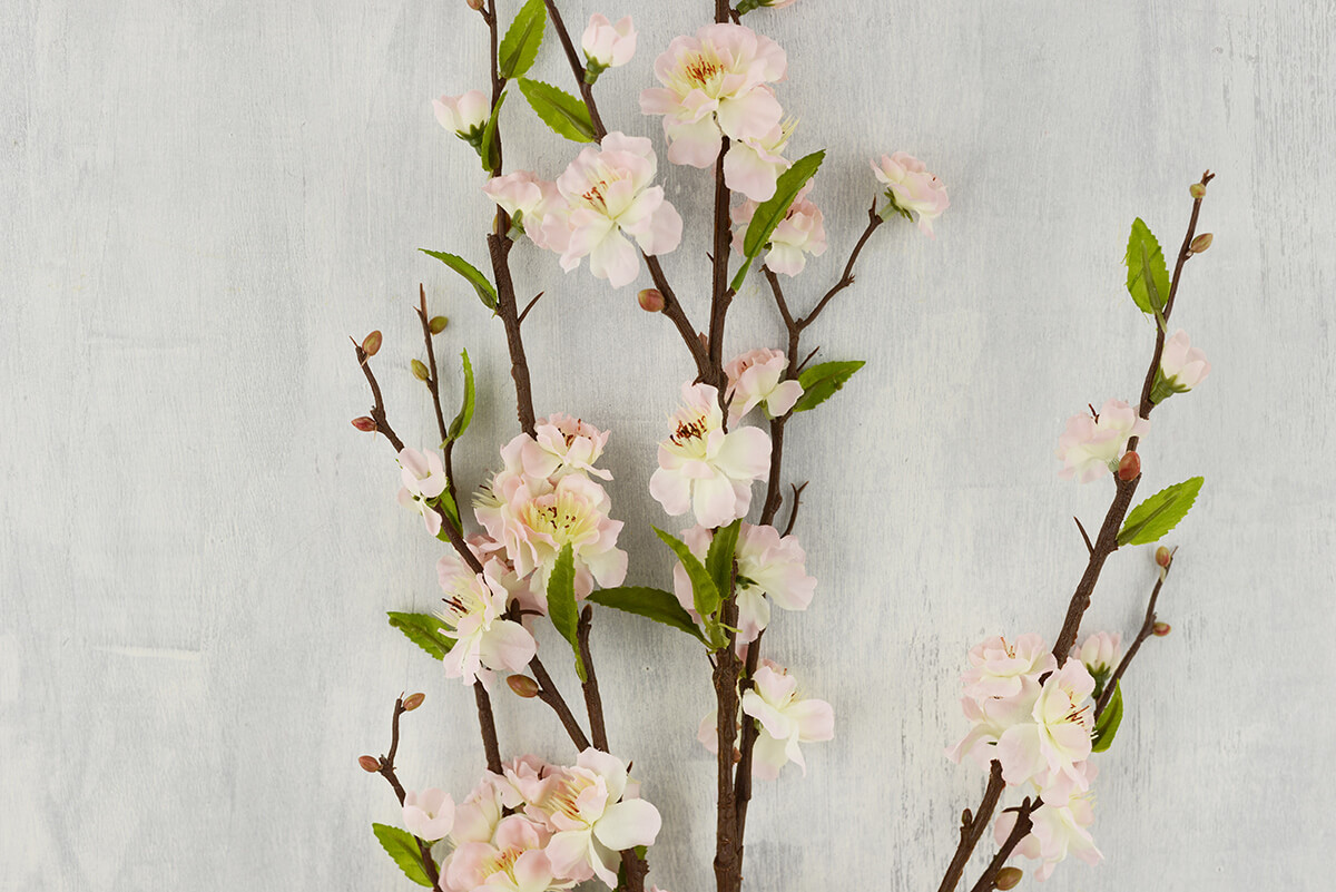 cherry blossom stems
