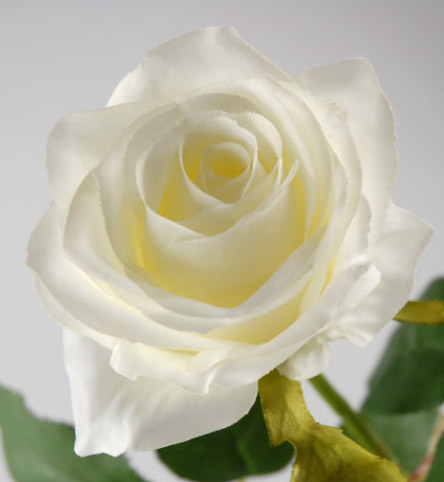 Cream White Long Stem Silk Roses 27"