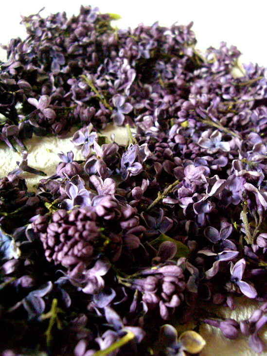 Freeze Dried Natural Lilac Blossoms 5 Cups