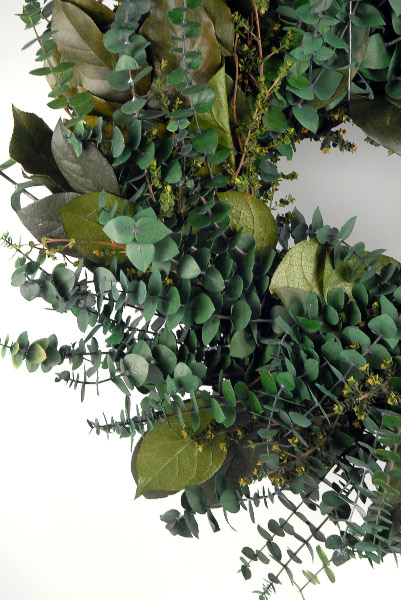 Preserved Green Eucalyptus Wreath 20in, Mountain Creek