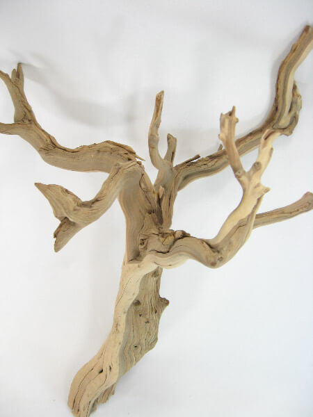 Natural Ghostwood Branches 16-22in Sanded and Sanitized