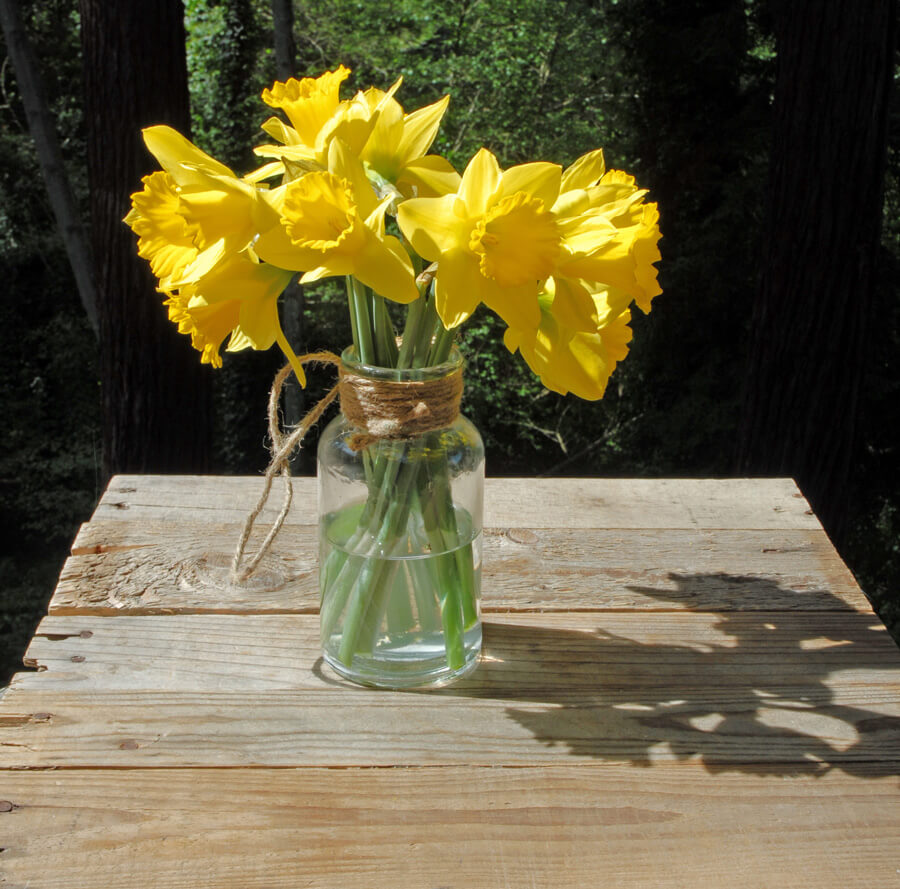 Glass Jar with Rope Handle 6.3in