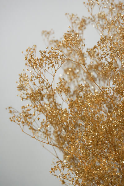 Gold Baby's Breath Branches 4oz Bunch 26in