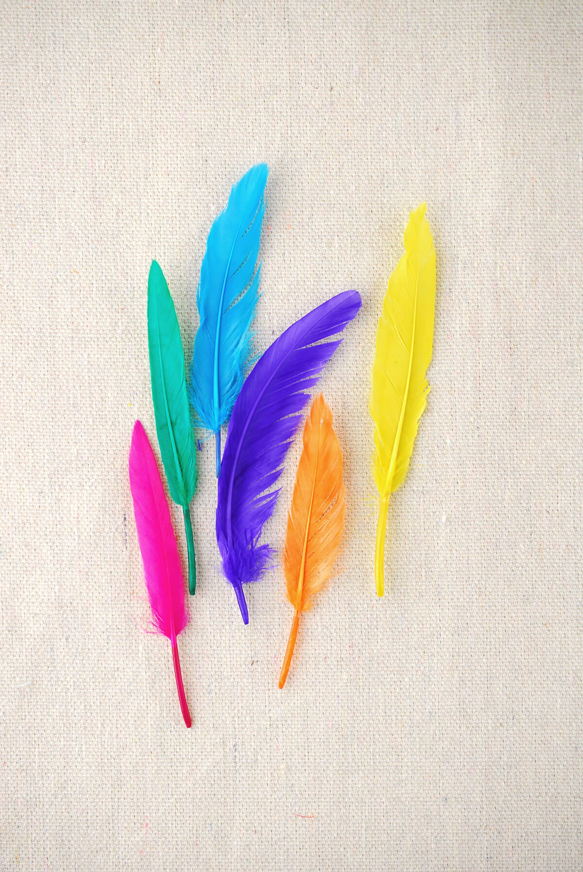 indian feathers multicolor 72 2