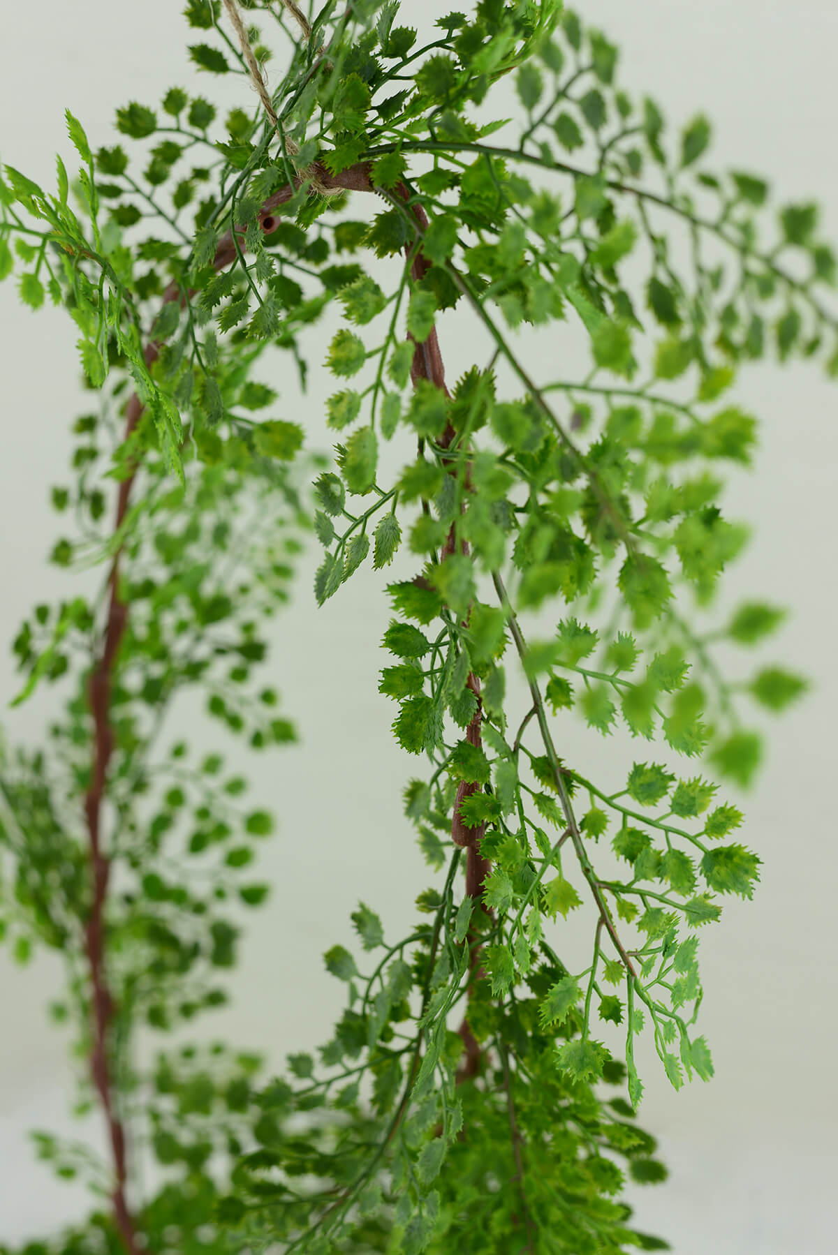 maidenhair fern garland 6ft