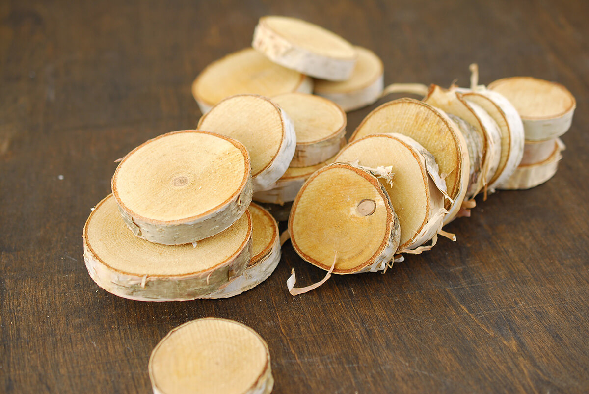 24 Birch Tree Round Pieces 1.5