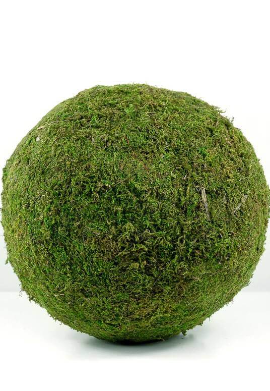 Moss ball что это