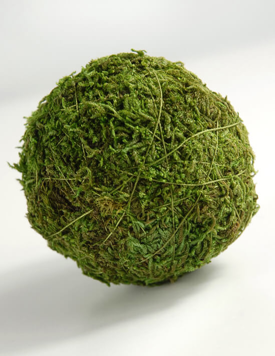 Moss Ball 2in