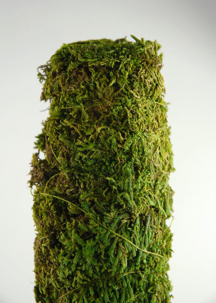 Moss Covered Pole 18" x 2"