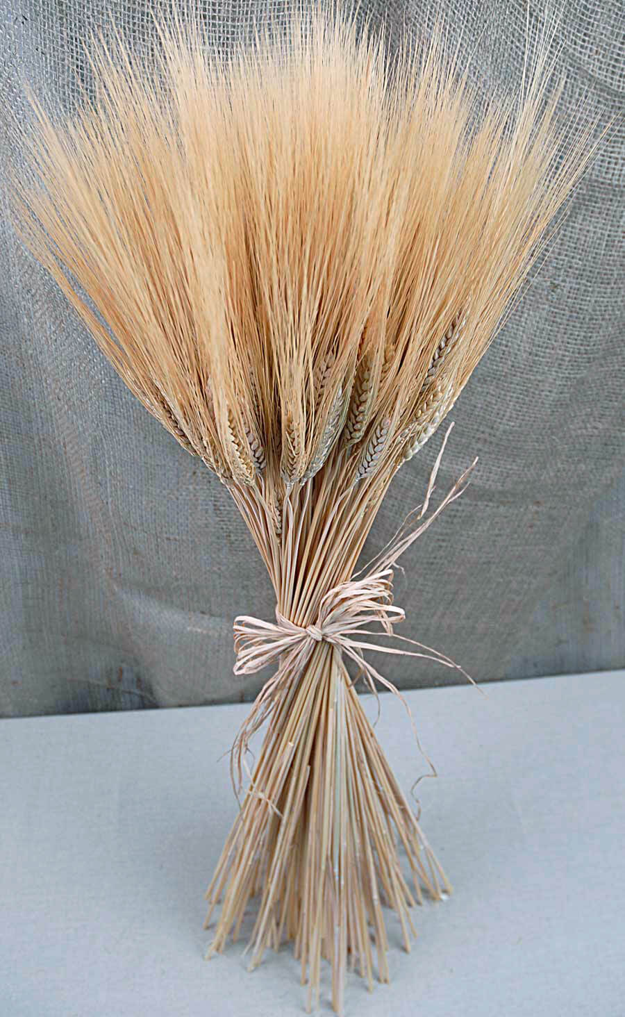 natural dried wheat stalks 12 oz bundle 6