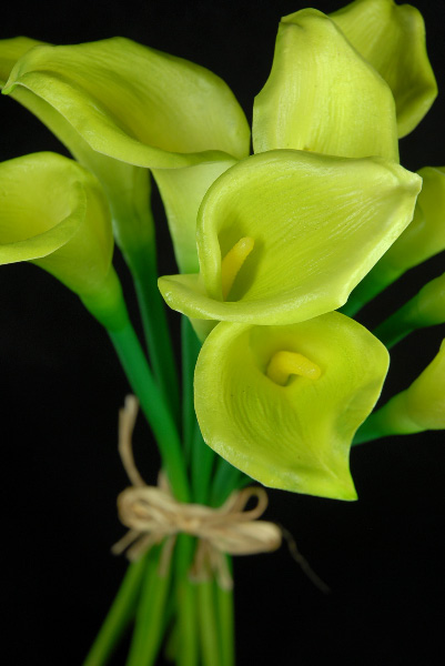 Natural Touch Hand-Tied Green Calla Lily Wedding Bouquet 14"