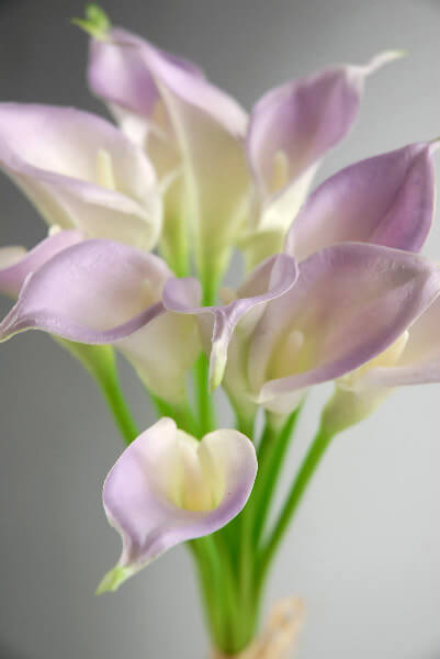 Natural Touch Mini Lilac Calla Lily Bouquet 12 flowers