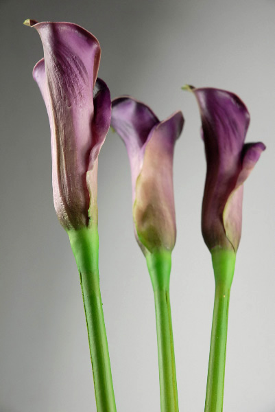 Real Touch Deep Purple Calla Lily Bud Flowers 25