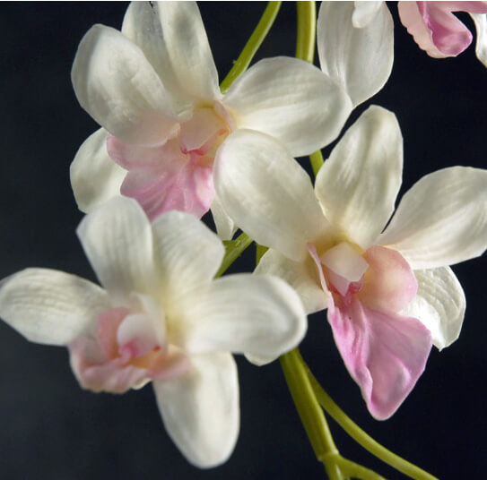 Natural Touch Pink & White Dendrobium Orchid Stem