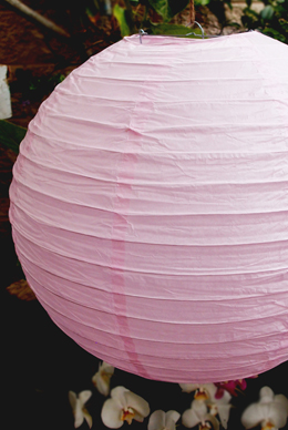 Pink Paper Lanterns 24