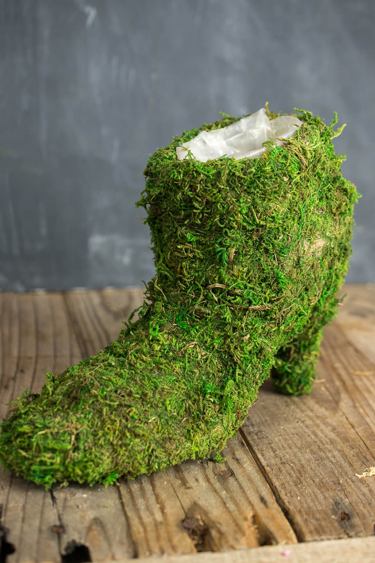 Moss Covered Ladies Boot 7" Topiary Planter