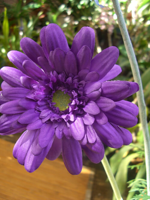 12 Purple Silk Gerbera Daisy Flowers