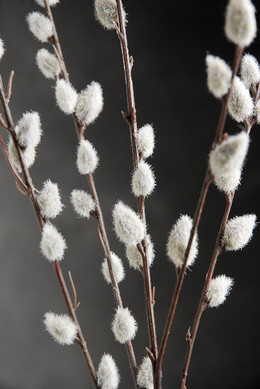 12 Artificial Pussy Willow Branches 31 in.