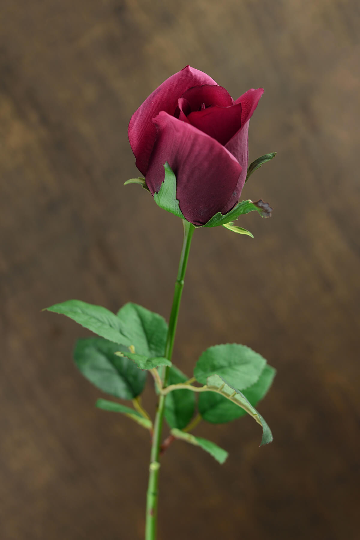 One Dozen Burgundy Silk Ecuador Roses 24"
