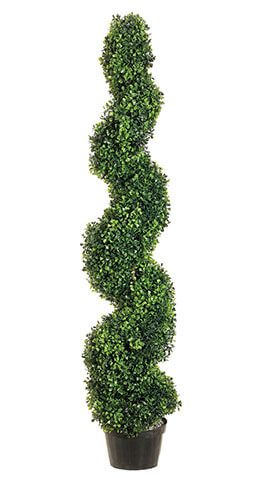 Spiral Boxwood Topiary 4ft SHIPS FREE