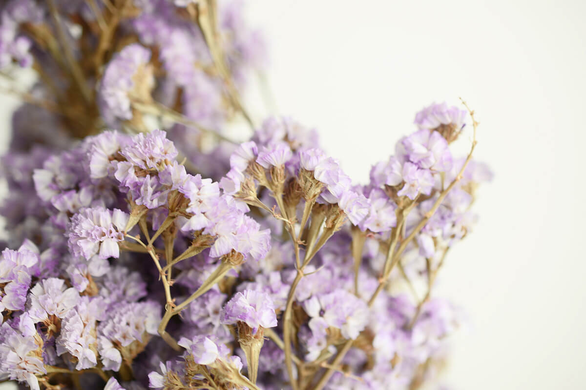 dried purple flowers