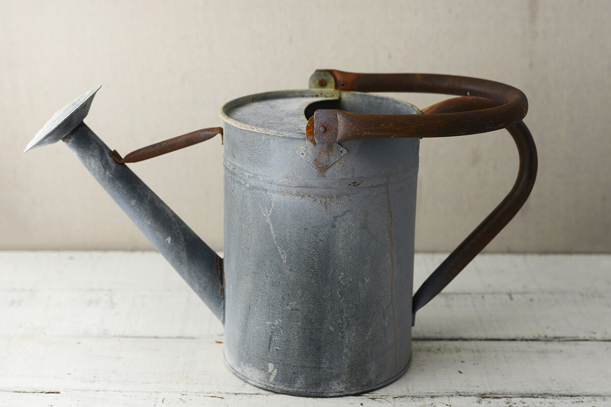 Rustic Watering Cans 7