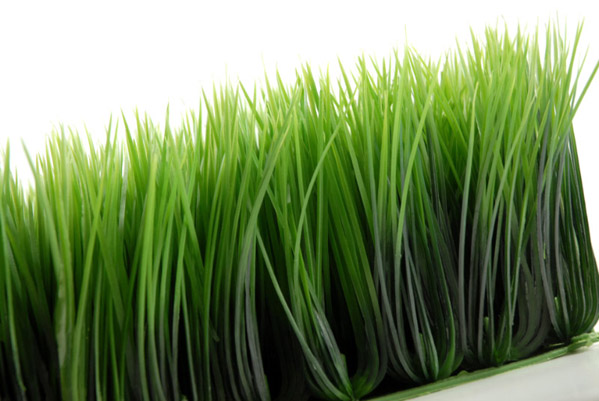 Wheat Grass Mats 10.5in Square Interlocking