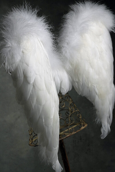 Handcrafted 22x28 White Feather Angel Wings with Marabou Trim