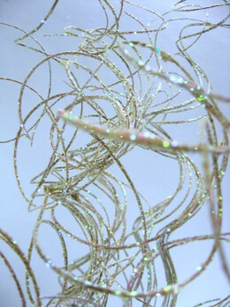 Curly Willow Branches and Birch Branches | 20-60% Off | SaveOnCrafts