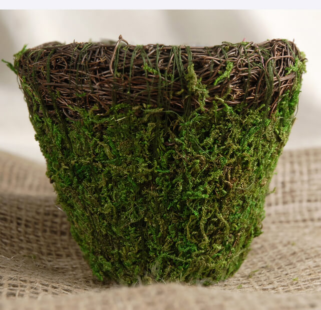 Wicker And Moss Planter 5in Round   Wicker Preserved Moss Covered Round 5 In Pot 3 