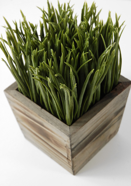 Wood Planter Box Grass Display 7in