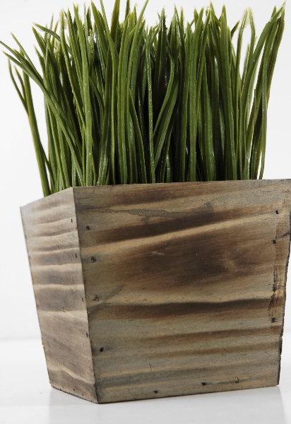 Wood Planter Box Grass Display 7in