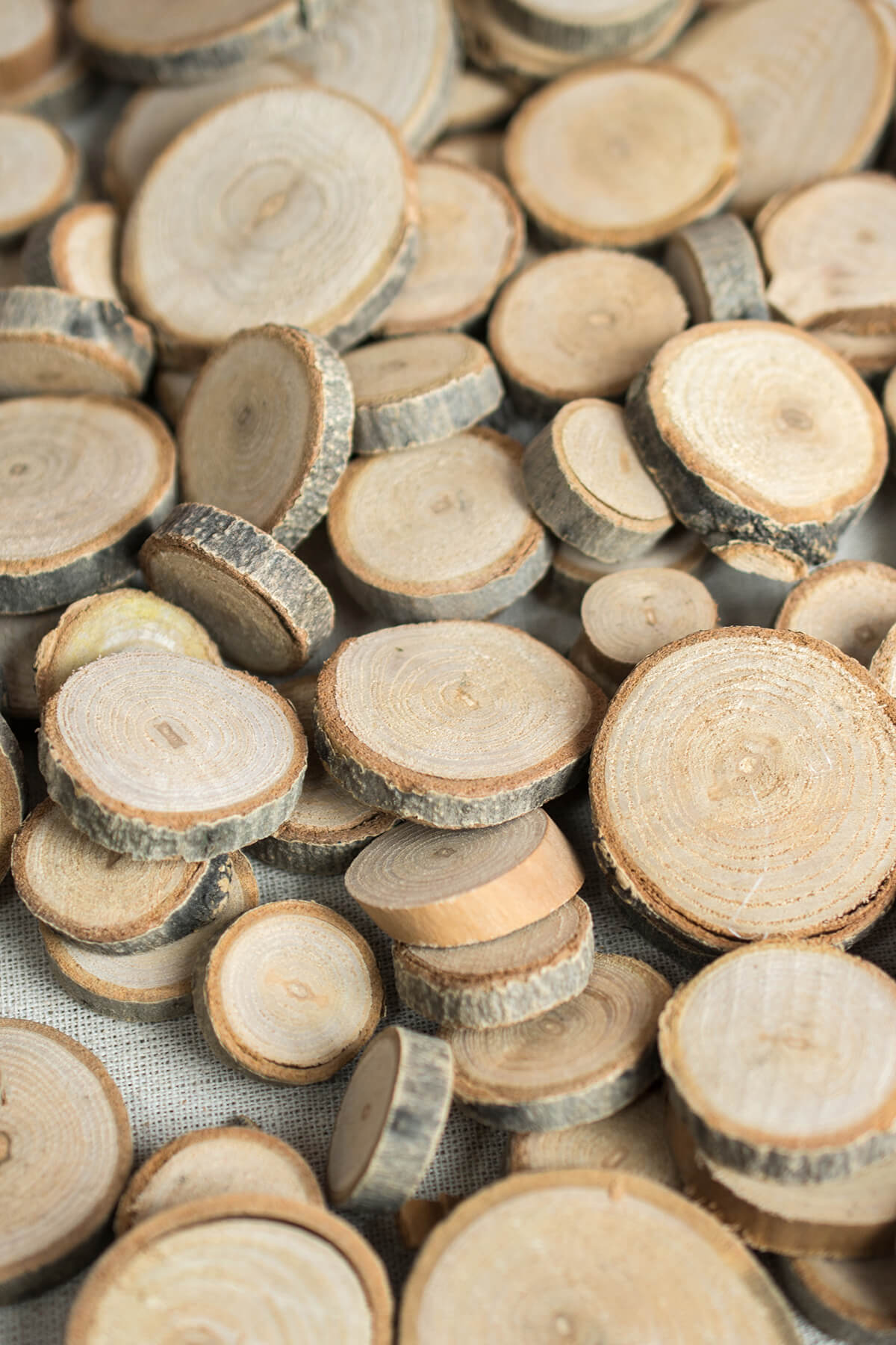 Tiny Wood Round Slices 1 lb