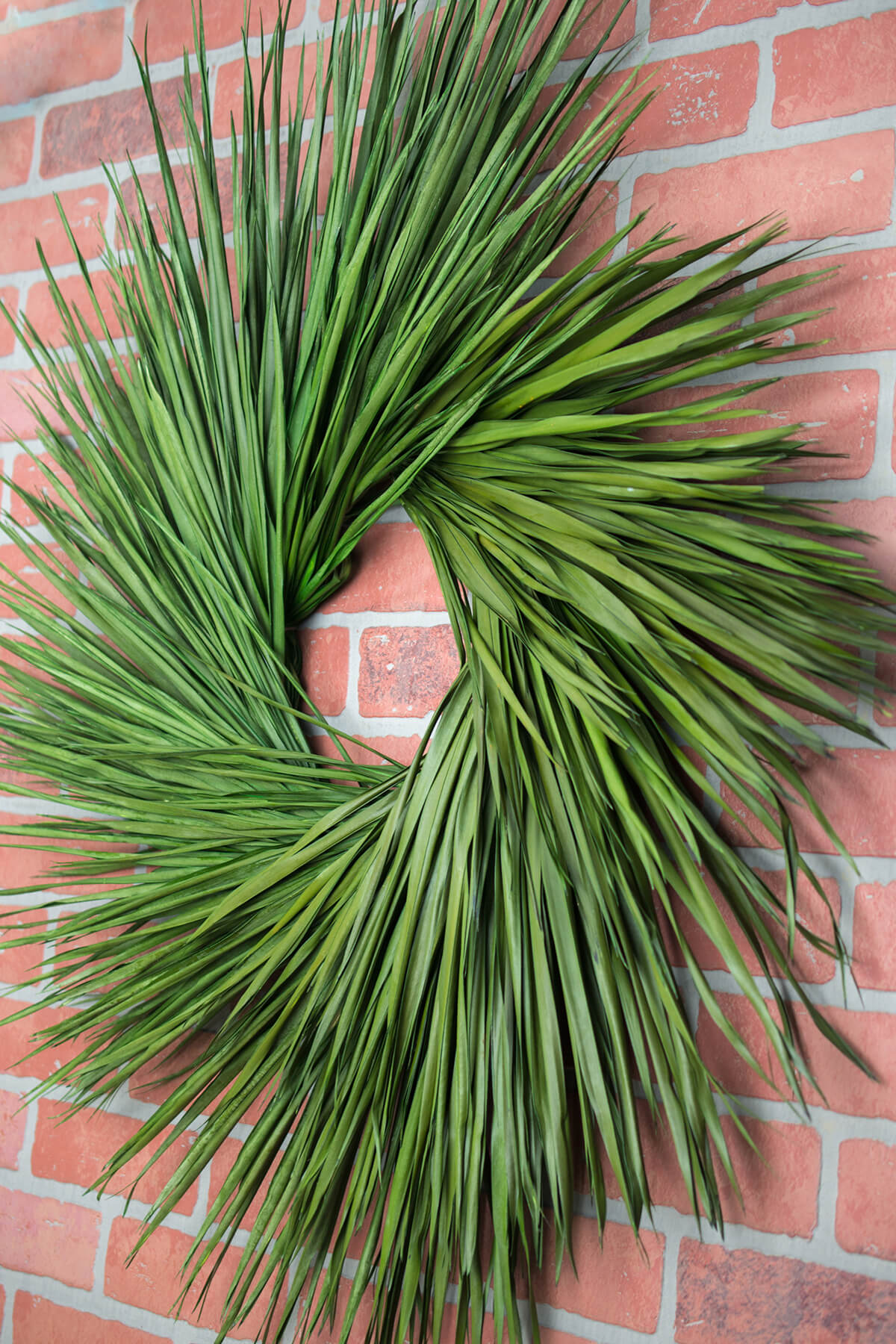 Preserved Palm Wreath 34 